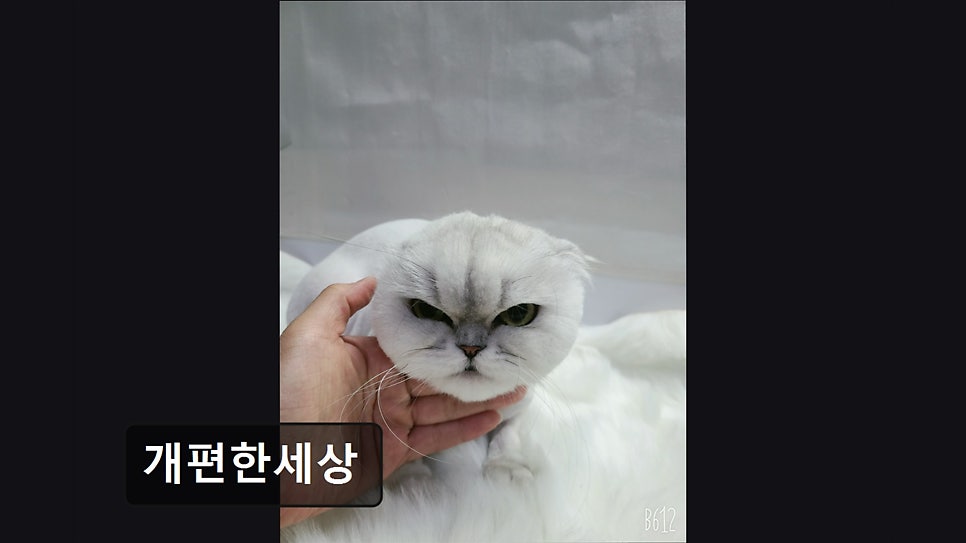 Gaepyeonhansesang photo 3