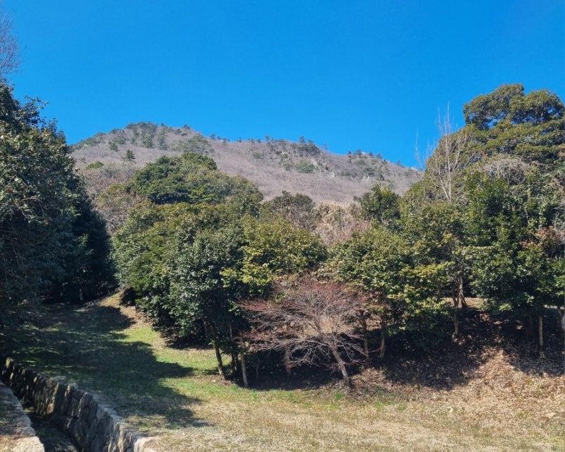 사진 6