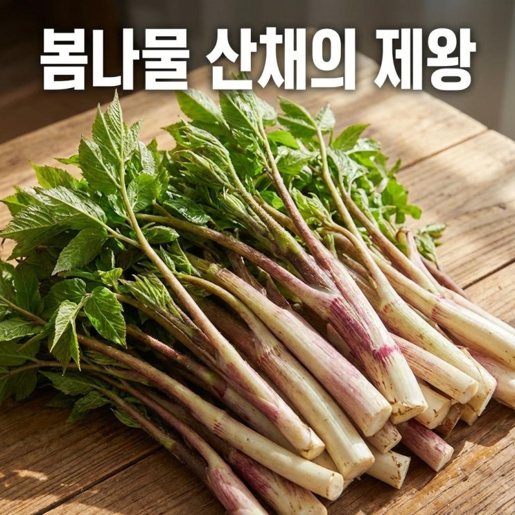   땅두릅 효능 5가지 총정리 | 봄나물 산채의 제왕
