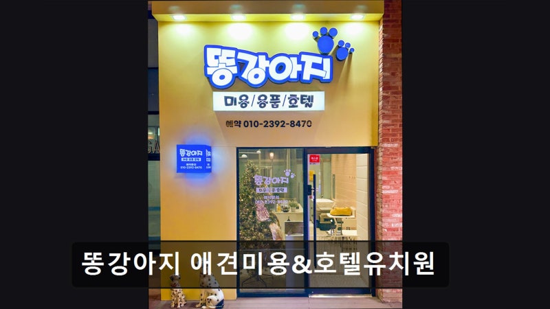 똥강아지 애견미용&호텔유치원