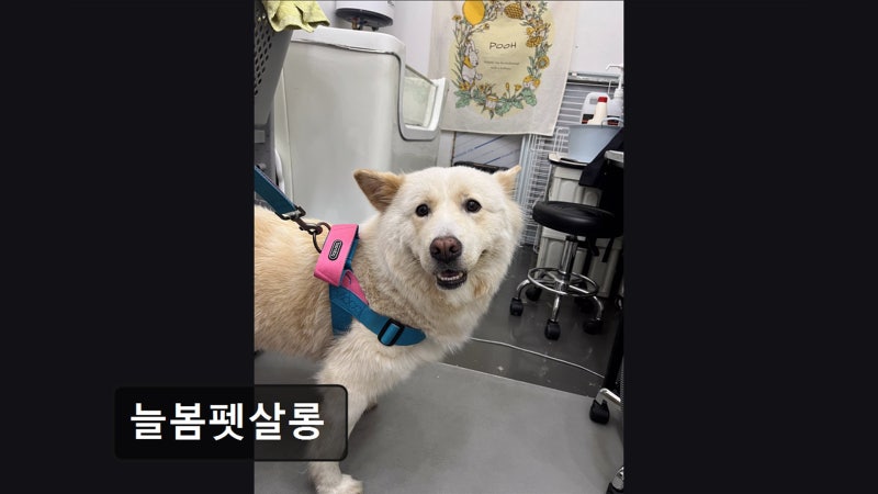 사진 2