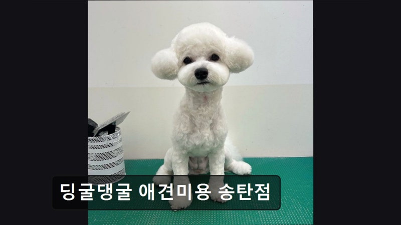 사진 7