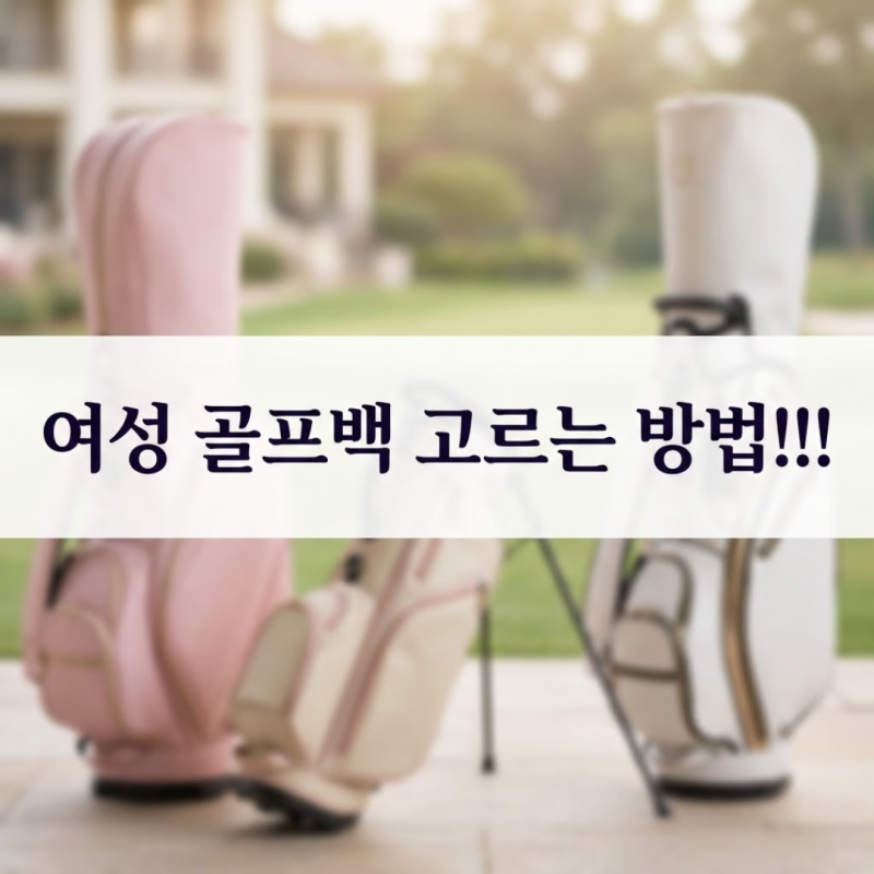 여성 골프백 추천 방법! 바퀴형 vs 스탠드 vs 일반형