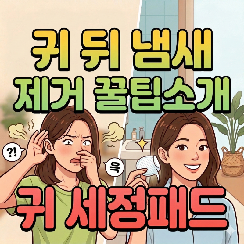 사람 귀 세정제, 귀뒤냄새제거는 사람 귀 세정패드로