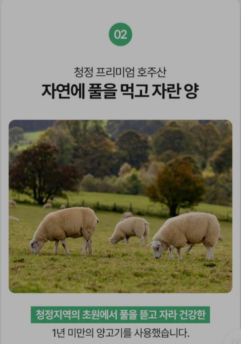 발로 하는 레시피3. 밖에서 사 먹기 아까워지는 맛! 엉파 양꼬치!(내돈내산)