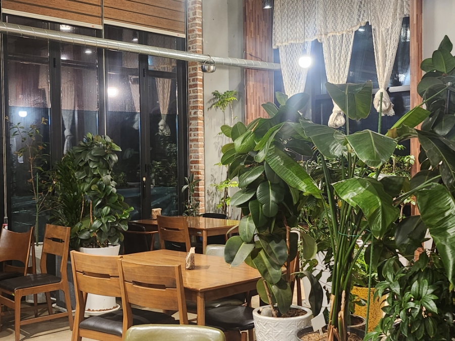 볼라레 사진 3