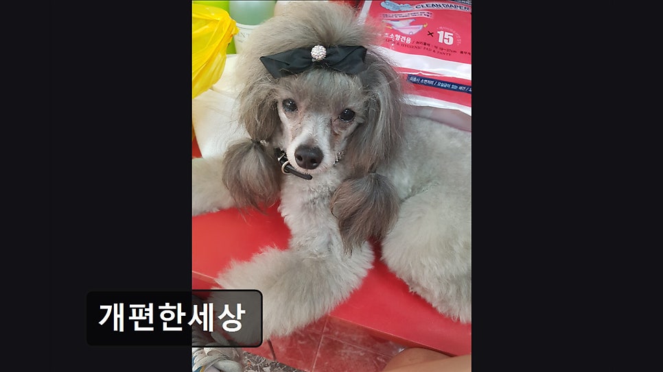 Gaepyeonhansesang photo 4