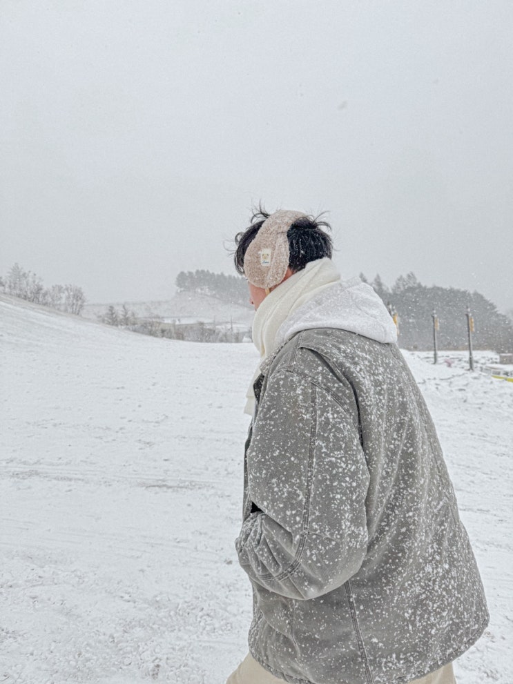  강원도 눈구경 가볼만한곳 대관령 애니포레 하늘목장 실버벨교회 마지막 눈으로 예상된다