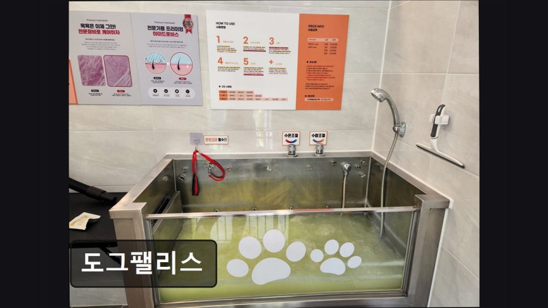 사진 5
