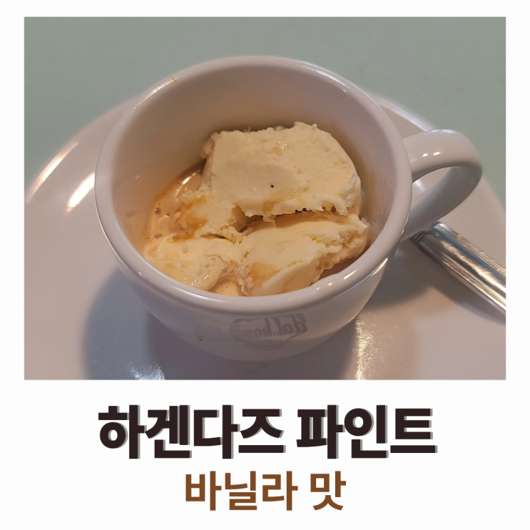  하겐다즈 바닐라 아이스크림 후기 : 모카포트 아포가토로 종결합니다