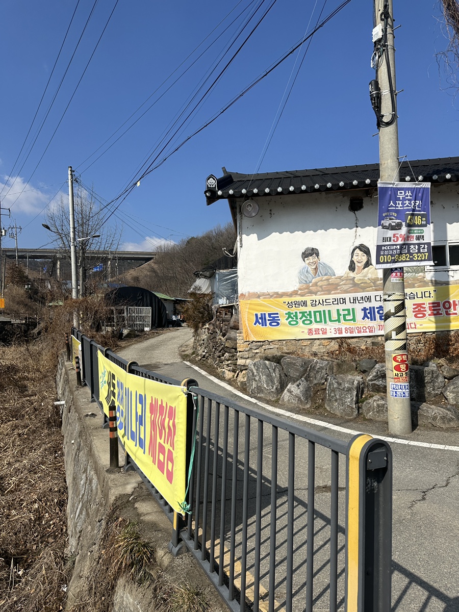 세동강은순맛집 사진 1