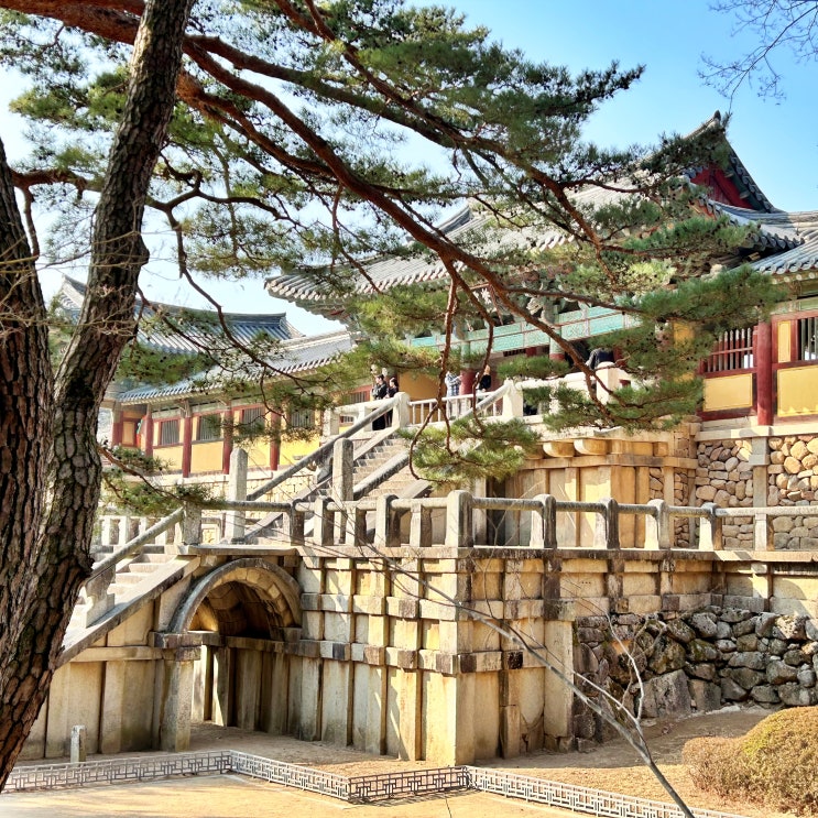  경주 아이와 가볼만한곳 불국사 역사탐방 코스 초등학생 체험학습 추천