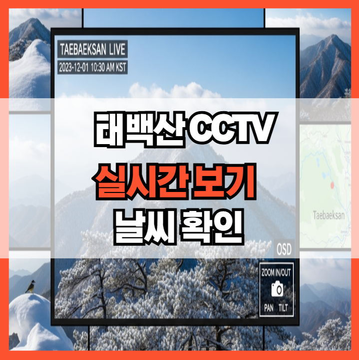 태백산 CCTV 실시간 보기와 날씨 확인하는 법 총정리