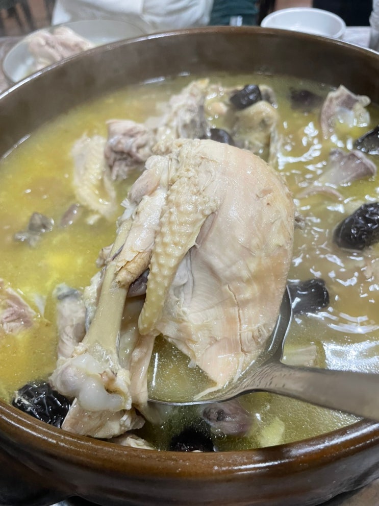  피로연 단체모임 하기 좋은 군산 보양식 맛집 소룡동 군산촌닭 한방백숙 현지인맛집 소룡동저녁