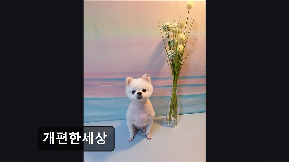 Gaepyeonhansesang photo 6