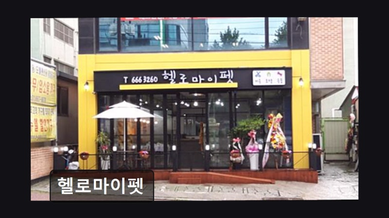 헬로마이펫
