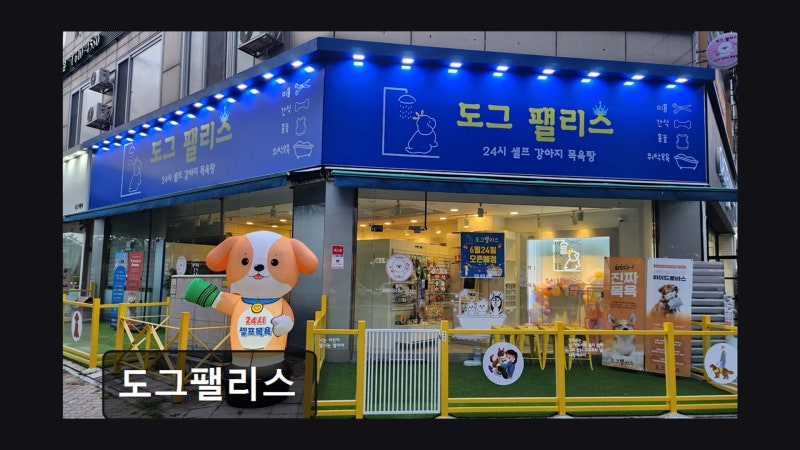 사진 4