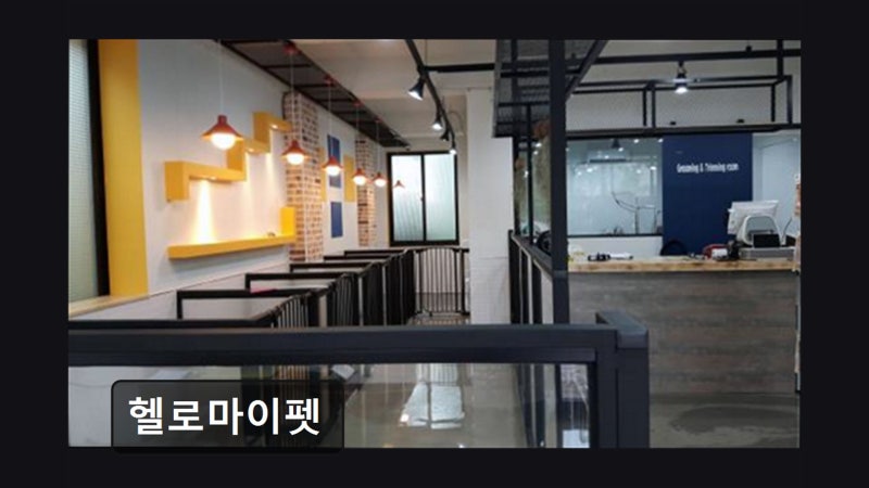 사진 2