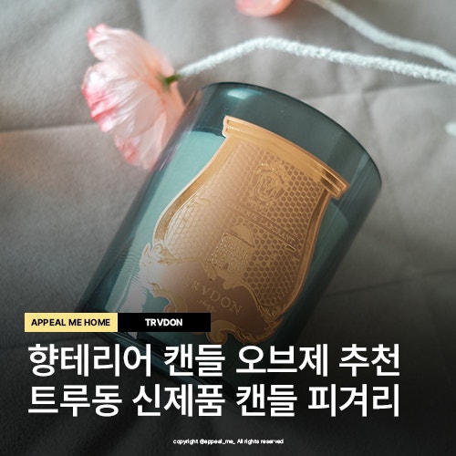  향테리어 캔들 오브제 추천 트루동 신제품 캔들 피겨리