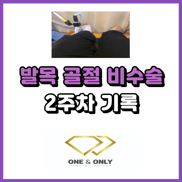 발목 골절 비수술 보존치료 2주차 기록(엑스레이 사진 있어요)