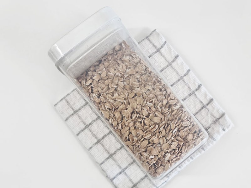 다이소 열고닫기 쉬운 곡물용기 600ml 잡곡 보관 용기 시리얼통