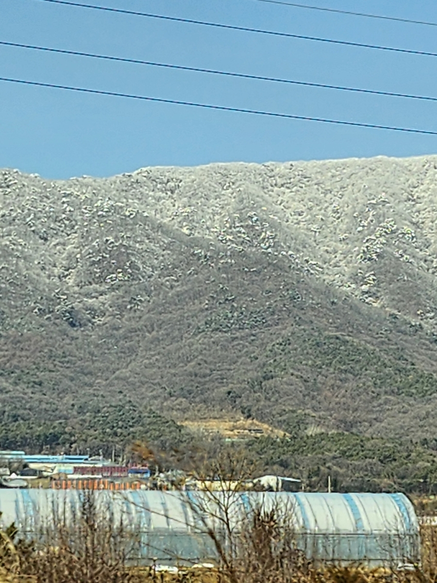 볼라레 사진 1