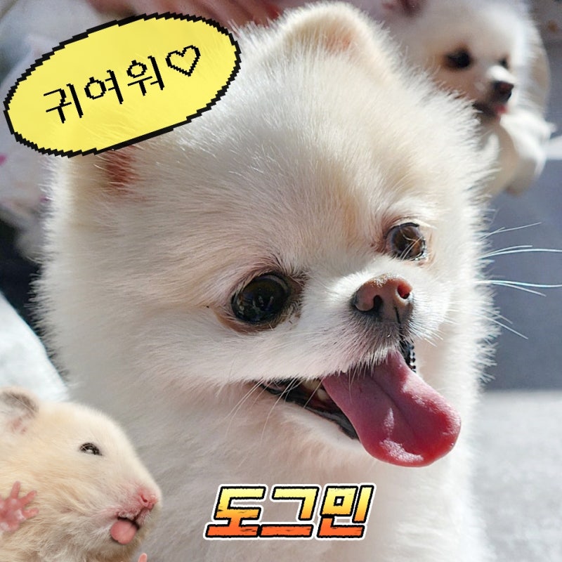 사진 5