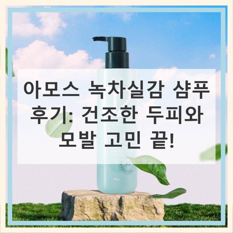 아모스 녹차실감 샴푸 중건성 (촉촉한 타입) 사용 후기: 두피 모발 고민 끝!