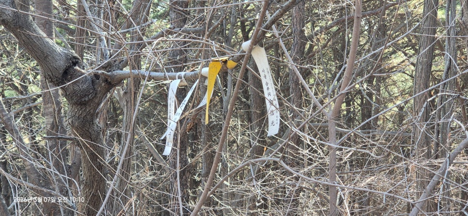 던바위산 사진 5