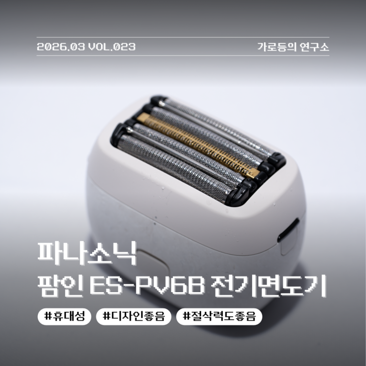  휴대성 좋은 전기면도기 파나소닉 팜인 ES-PV6B 면도기 후기 입문용 면도기 추천
