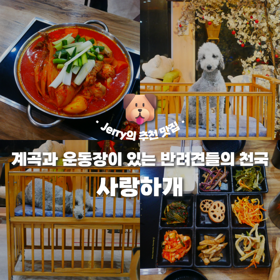 사랑하개 사진 1