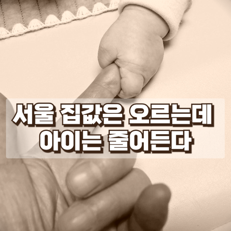  서울 집값은 오르는데 아이는 줄어든다…‘부동산 공화국’이 만든 한국의 미래 위기
