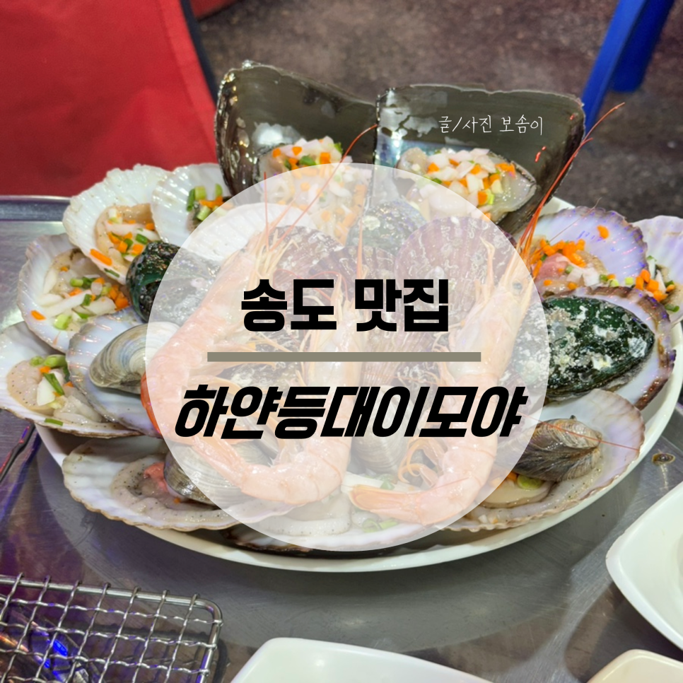 하얀등대이모야 사진 1