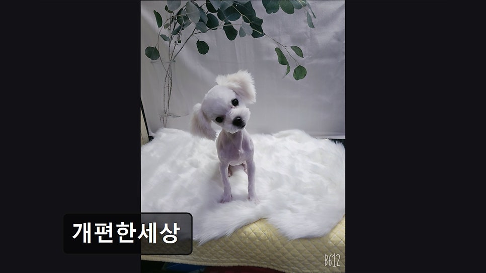 개편한세상 사진 7