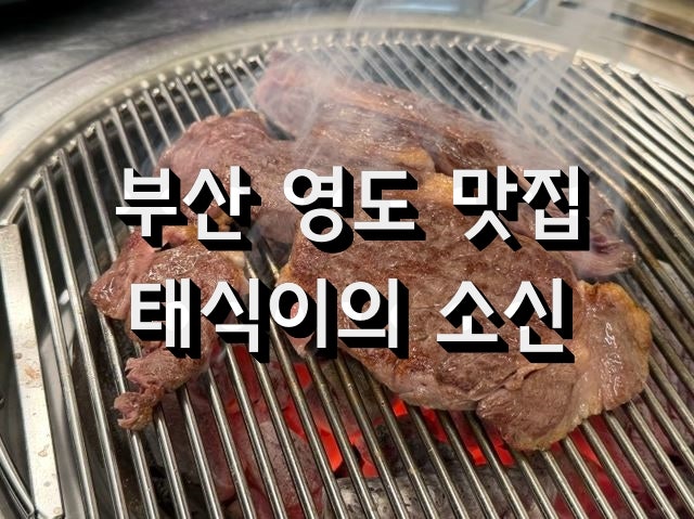 태식이의소신 사진 1