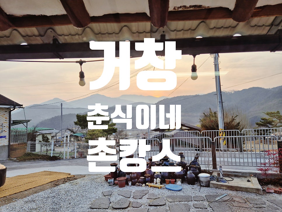춘식이네 사진