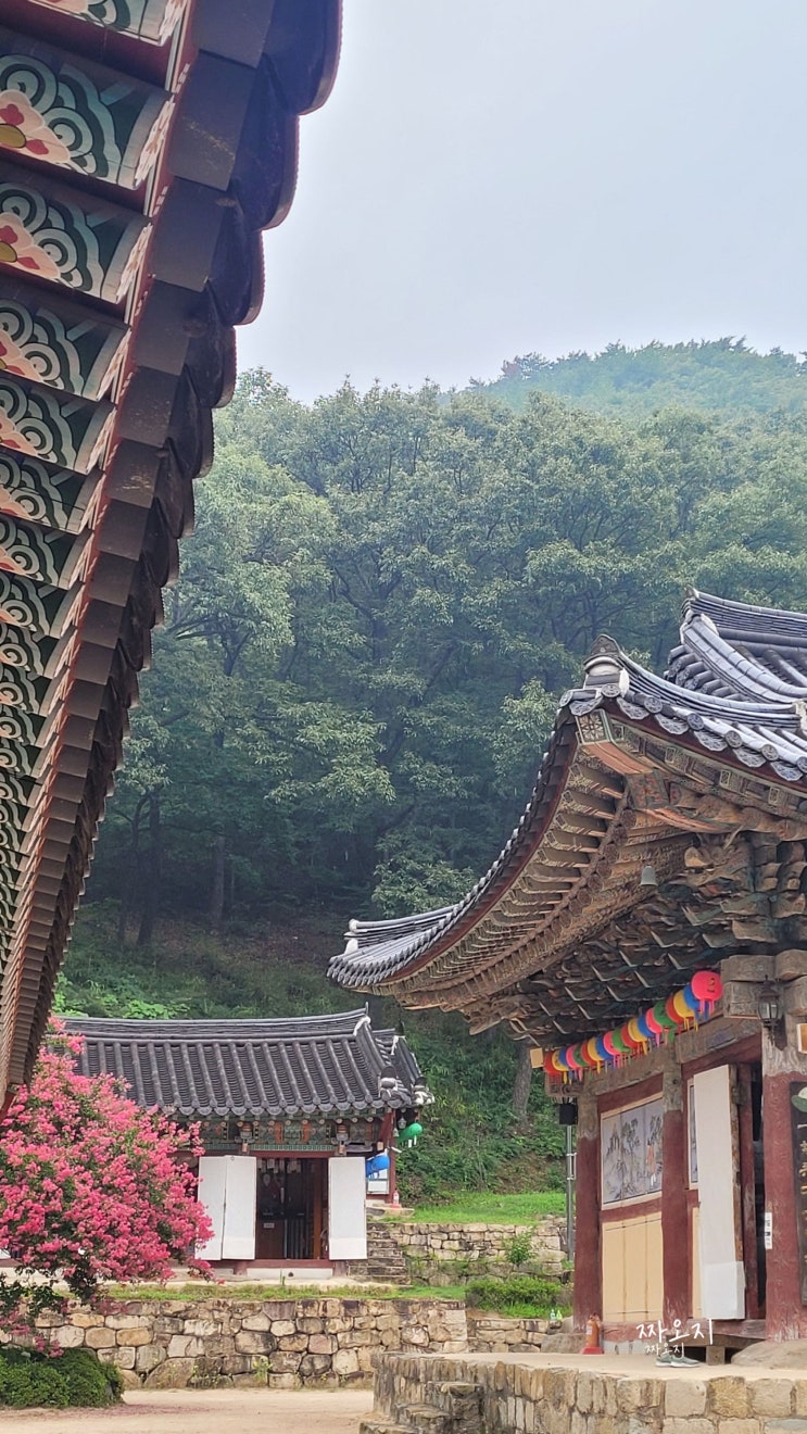 포항 여행 나들이 가볼만한곳 산책 추천 운제산 오어지 오어사 둘레길