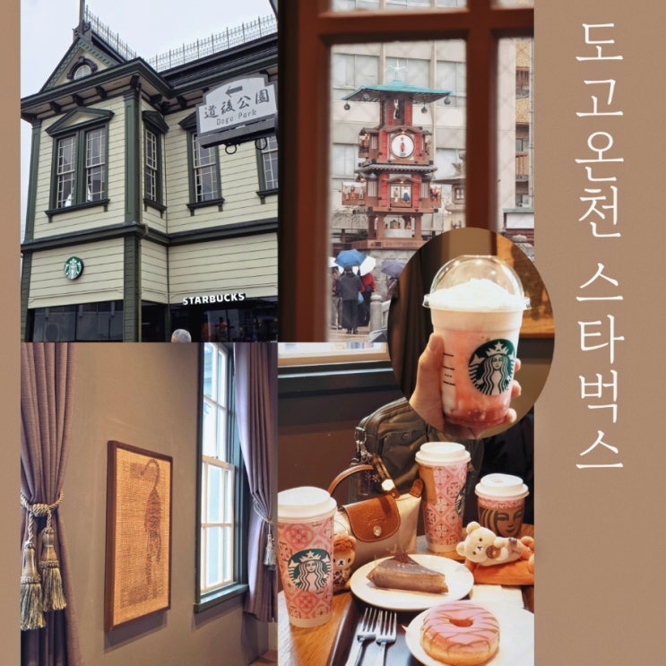  마쓰야마 스타벅스 도고온천역사점 벚꽃 신메뉴 후기 ft. 도고온천 스벅