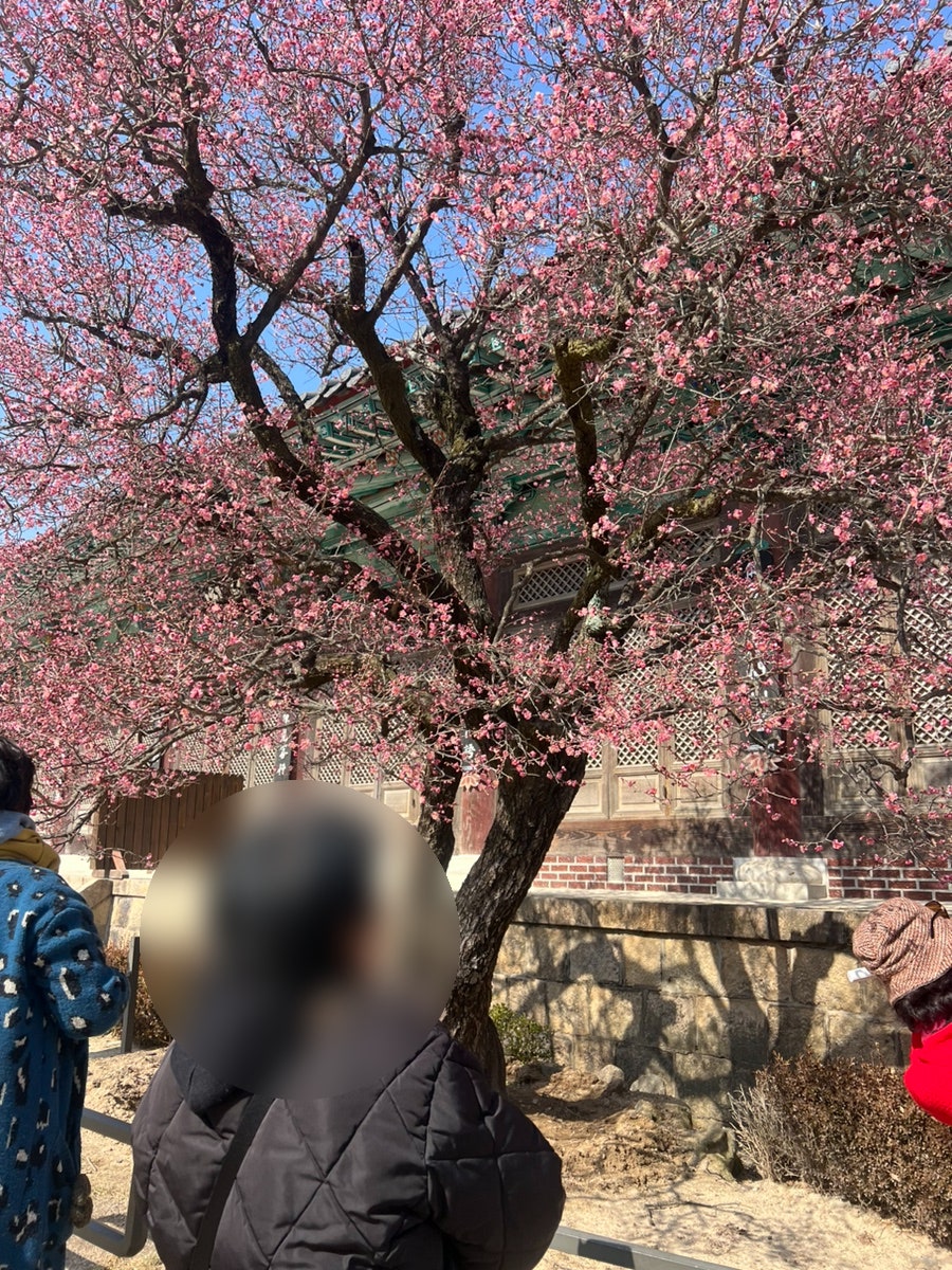 이서방 사진 3