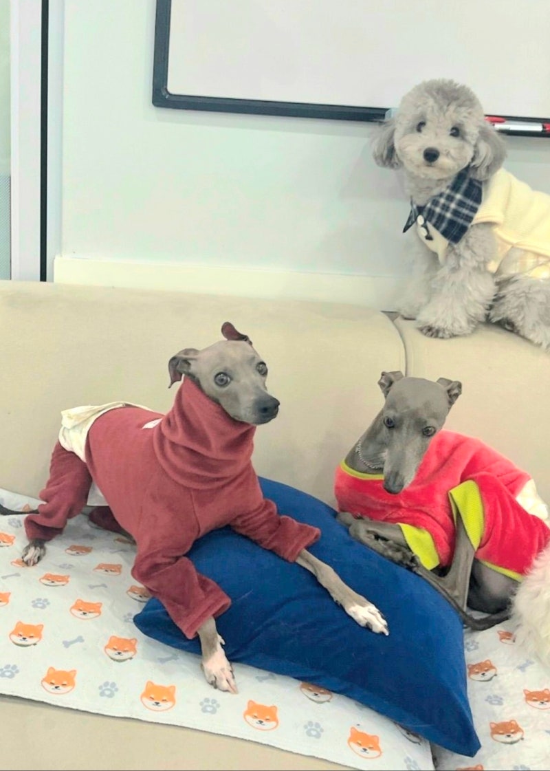 사진 4