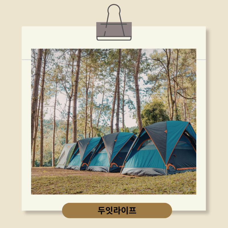 캠핑의자 텐트 버리는법, 그냥 버리면 안 되는 이유
