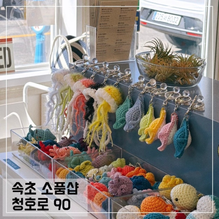  속초 소품샵 청호로 90 속초 가볼만한곳 여행코스