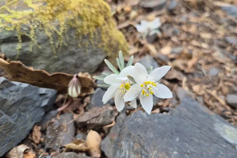 운하산 사진 2