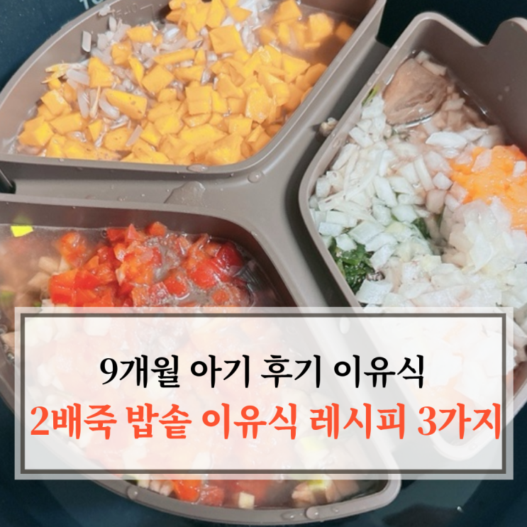  9개월 아기 후기 이유식 2배죽 밥솥 이유식 레시피 3가지