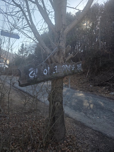 사진 9