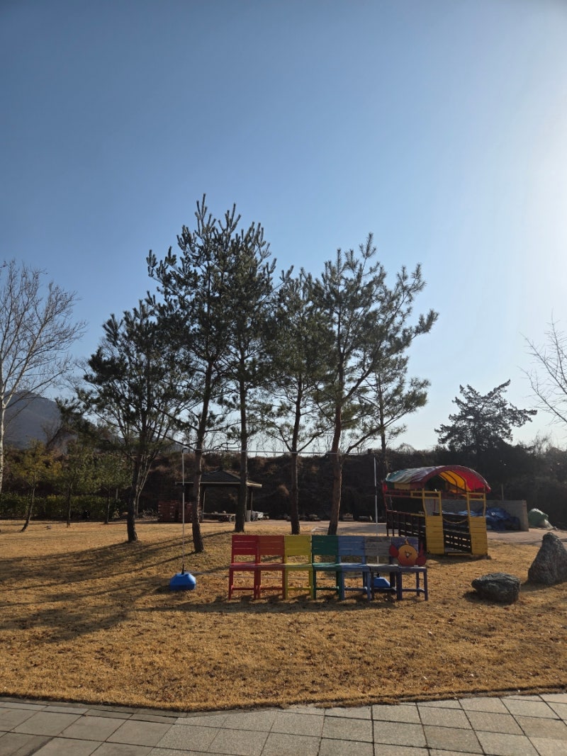 사진 10