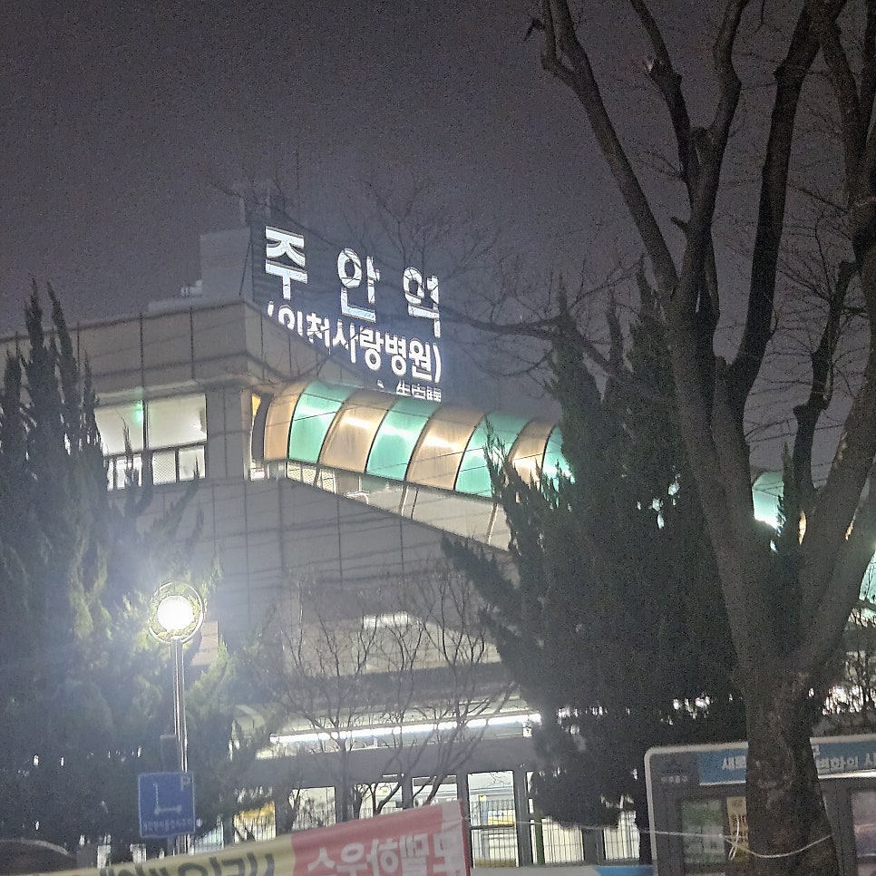 스낵팩 멜번 사진 2