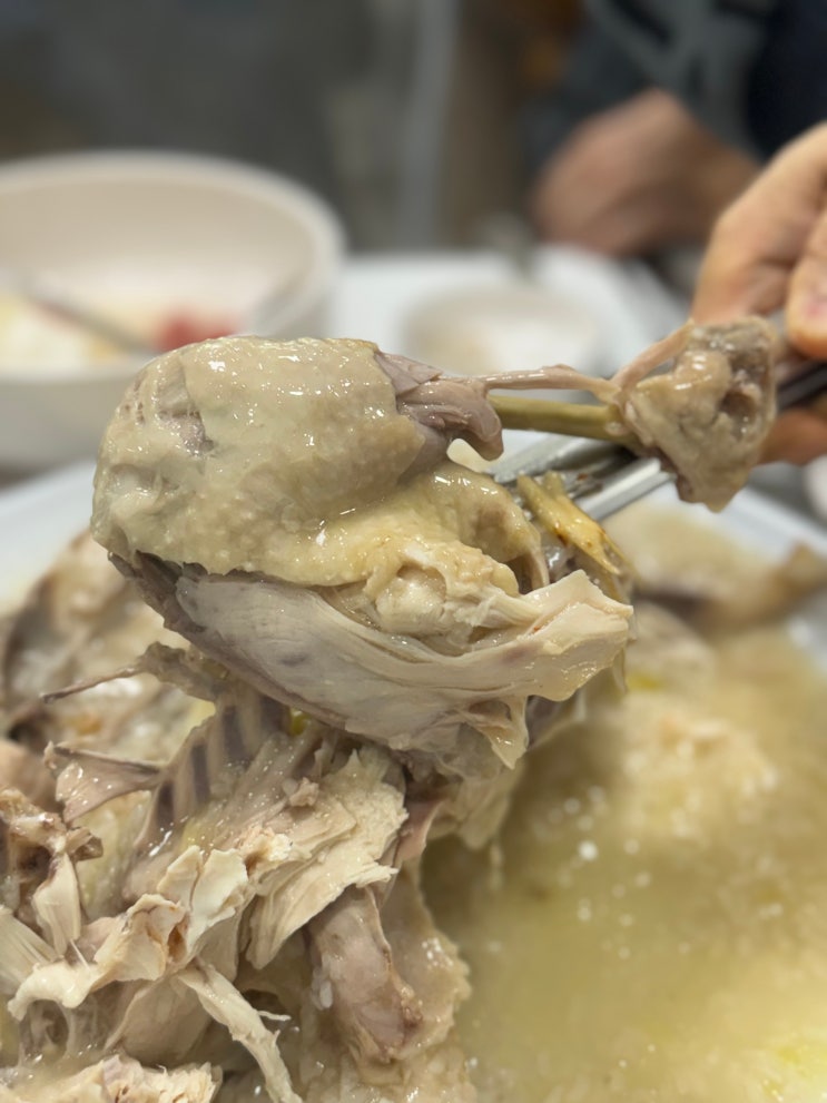  [시흥 하우고개] 가족모임 식당 추천 ::장수촌:: 토종닭 백숙 맛집