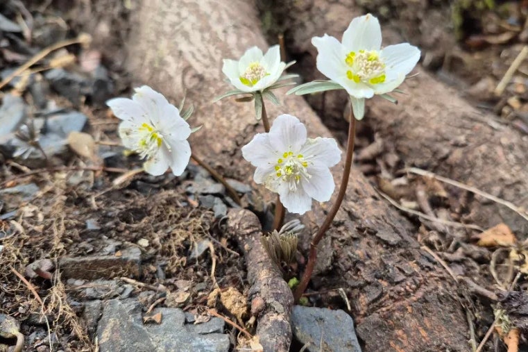 운하산 사진 5