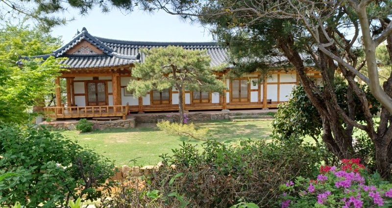 사진 8